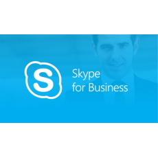 Skype for Business SA OLP NL Gov Skype for Business SA OLP NL Gov